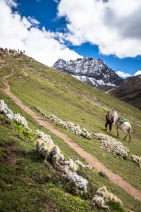 blog_bolpergal_20170501_100948 blog_bolpergal_20170501_100948