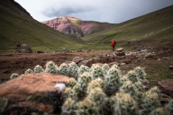 blog_bolpergal_20170501_144809 blog_bolpergal_20170501_144809