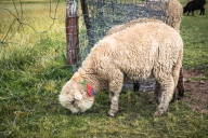 blog_bolpergal_20170501_160216 blog_bolpergal_20170501_160216