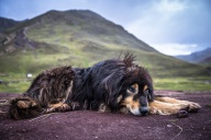 blog_bolpergal_20170501_161859 blog_bolpergal_20170501_161859