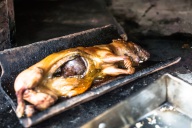 blog_bolpergal_20170502_134447 blog_bolpergal_20170502_134447