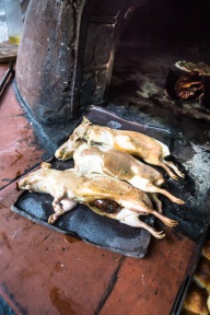 blog_bolpergal_20170502_135711 blog_bolpergal_20170502_135711