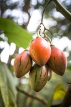 blog_bolpergal_20170503_115623 blog_bolpergal_20170503_115623