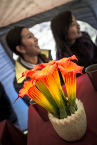 blog_bolpergal_20170503_135432 blog_bolpergal_20170503_135432