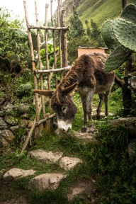 blog_bolpergal_20170503_144649 blog_bolpergal_20170503_144649