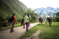 blog_bolpergal_20170503_150733 blog_bolpergal_20170503_150733