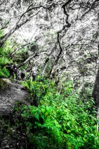 blog_bolpergal_20170504_090823 blog_bolpergal_20170504_090823