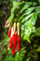 blog_bolpergal_20170504_090944 blog_bolpergal_20170504_090944