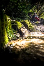 blog_bolpergal_20170504_092432 blog_bolpergal_20170504_092432