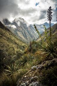 blog_bolpergal_20170504_162050 blog_bolpergal_20170504_162050