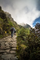 blog_bolpergal_20170505_064726 blog_bolpergal_20170505_064726