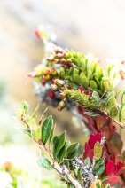 blog_bolpergal_20170505_083227 blog_bolpergal_20170505_083227