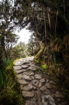 blog_bolpergal_20170505_120516 blog_bolpergal_20170505_120516