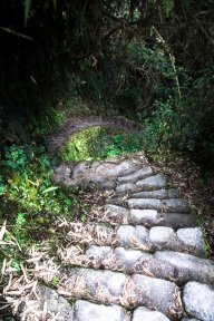 blog_bolpergal_20170505_151036 blog_bolpergal_20170505_151036