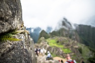 blog_bolpergal_20170506_131419 blog_bolpergal_20170506_131419