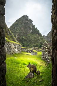 blog_bolpergal_20170506_132446 blog_bolpergal_20170506_132446