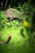 blog_bolpergal_20170508_124106 blog_bolpergal_20170508_124106