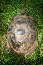 blog_bolpergal_20170508_132212 blog_bolpergal_20170508_132212