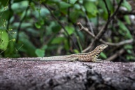 blog_bolpergal_20170508_153825 blog_bolpergal_20170508_153825