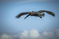 blog_bolpergal_20170508_160638 blog_bolpergal_20170508_160638