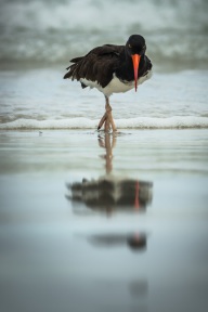 blog_bolpergal_20170508_161914 blog_bolpergal_20170508_161914