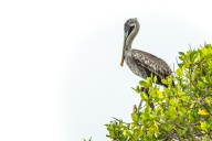 blog_bolpergal_20170508_163432 blog_bolpergal_20170508_163432