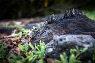 blog_bolpergal_20170508_165223 blog_bolpergal_20170508_165223