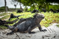 blog_bolpergal_20170508_170745 blog_bolpergal_20170508_170745