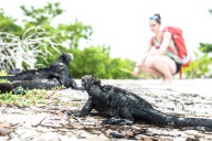 blog_bolpergal_20170508_170835 blog_bolpergal_20170508_170835