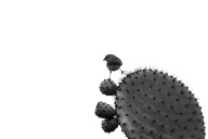 blog_bolpergal_20170508_173838 blog_bolpergal_20170508_173838