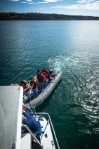 blog_bolpergal_20170509_083154 blog_bolpergal_20170509_083154