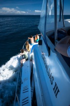 blog_bolpergal_20170509_094557 blog_bolpergal_20170509_094557