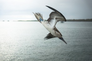 blog_bolpergal_20170509_164505 blog_bolpergal_20170509_164505