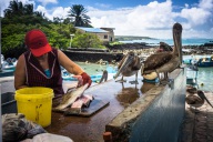 blog_bolpergal_20170510_100612 blog_bolpergal_20170510_100612