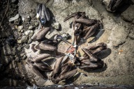 blog_bolpergal_20170510_103251 blog_bolpergal_20170510_103251