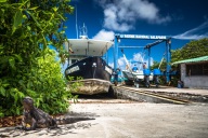 blog_bolpergal_20170510_104702 blog_bolpergal_20170510_104702