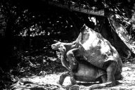 blog_bolpergal_20170510_121256 blog_bolpergal_20170510_121256