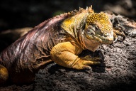 blog_bolpergal_20170510_121822 blog_bolpergal_20170510_121822