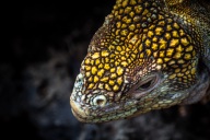 blog_bolpergal_20170510_122235 blog_bolpergal_20170510_122235