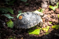 blog_bolpergal_20170510_122844 blog_bolpergal_20170510_122844