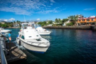 blog_bolpergal_20170510_160157 blog_bolpergal_20170510_160157