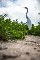 blog_bolpergal_20170511_100728 blog_bolpergal_20170511_100728