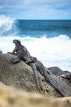 blog_bolpergal_20170511_105837 blog_bolpergal_20170511_105837