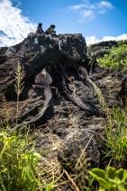 blog_bolpergal_20170511_121900 blog_bolpergal_20170511_121900