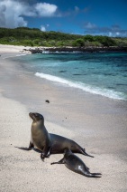 blog_bolpergal_20170511_131026 blog_bolpergal_20170511_131026