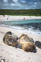 blog_bolpergal_20170511_132208 blog_bolpergal_20170511_132208