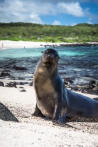 blog_bolpergal_20170511_132257 blog_bolpergal_20170511_132257