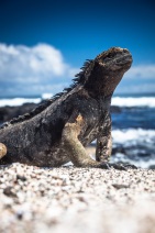 blog_bolpergal_20170511_135138 blog_bolpergal_20170511_135138