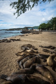 blog_bolpergal_20170511_154303 blog_bolpergal_20170511_154303