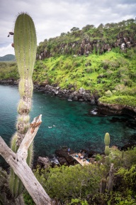 blog_bolpergal_20170511_170415 blog_bolpergal_20170511_170415